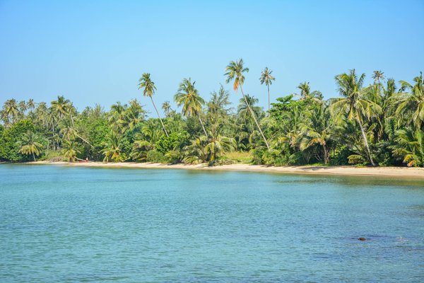 Éveillez vos sens : un voyage fascinant en Asie
